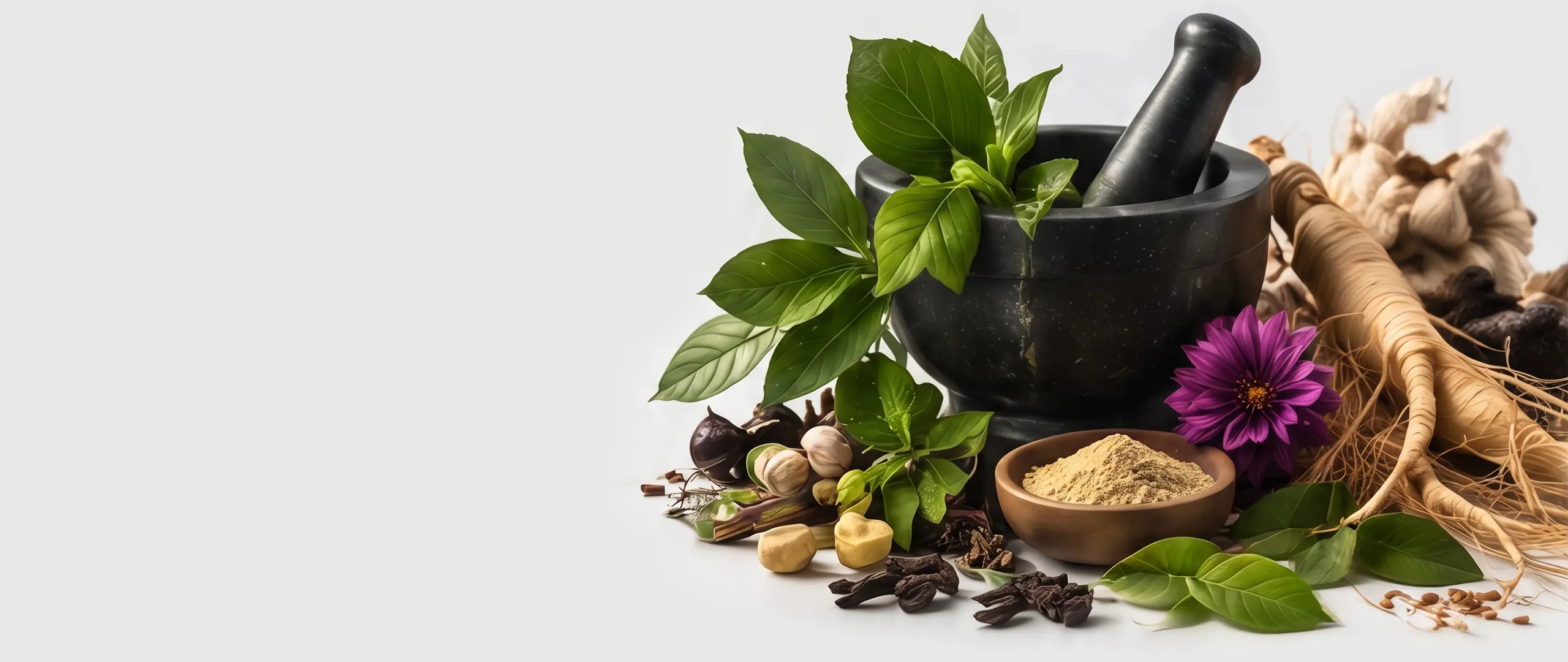 Roots, leaves, a violet flower and powders around a stone mortar and pestle